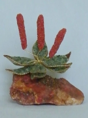 Aloe (± 12 cm) mit Jaspis, Aventurin und Tigerauge